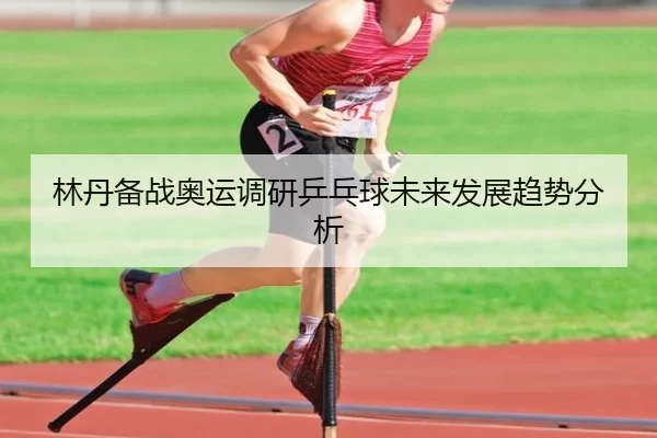 林丹备战奥运调研乒乓球未来发展趋势分析